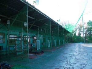 バッティングセンター